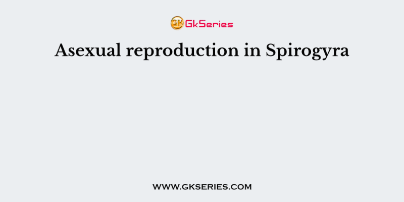 Asexual reproduction in Spirogyra