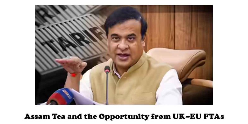 Assam Tea and the Opportunity from UK–EU FTAs