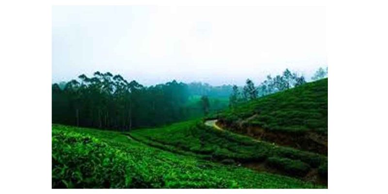 Assam in Export Preparedness Index (EPI) 2024