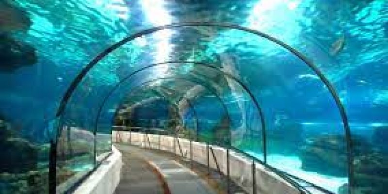 Assam’s First Underwater Tunnel To Come Up Under Brahmaputra