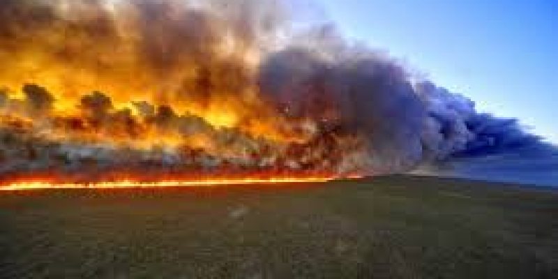 Association of cloud bursts with forest fires