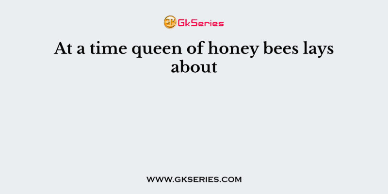 At a time queen of honey bees lays about