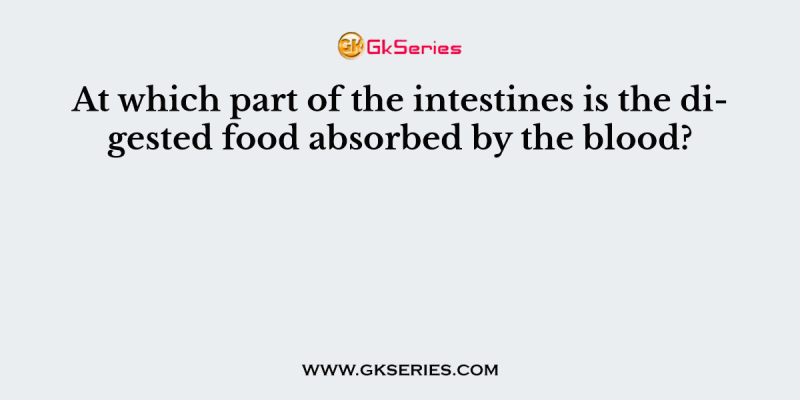 At which part of the intestines is the digested food absorbed by the blood?