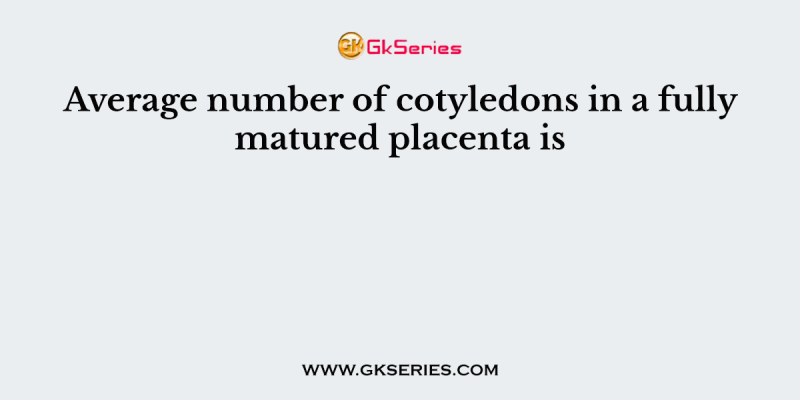 Average number of cotyledons in a fully matured placenta is