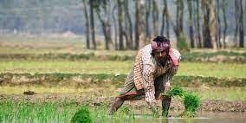 BASIX, Mastercard partner to digitize the rural ecosystem in Maharashtra