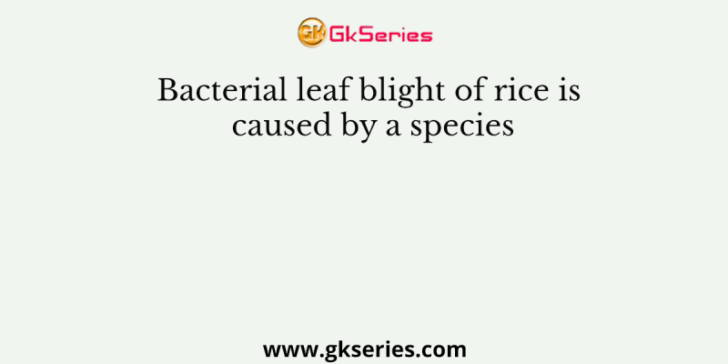 Bacterial leaf blight of rice is caused by a species