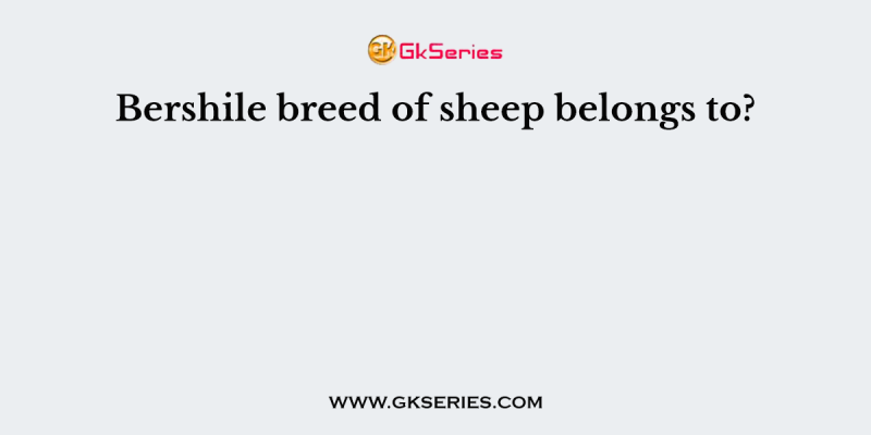 Bershile breed of sheep belongs to?
