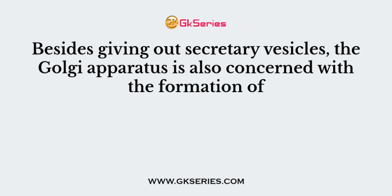 Besides giving out secretary vesicles, the Golgi apparatus is also concerned with the formation of
