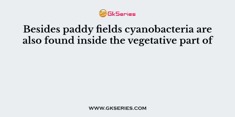 Besides paddy fields cyanobacteria are also found inside the vegetative part of