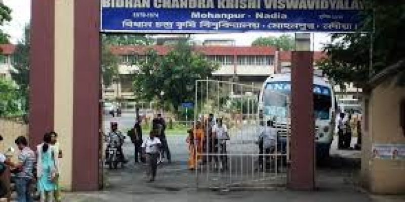 Bidhan Chandra Krishi Vishwavidyalaya, Nadia