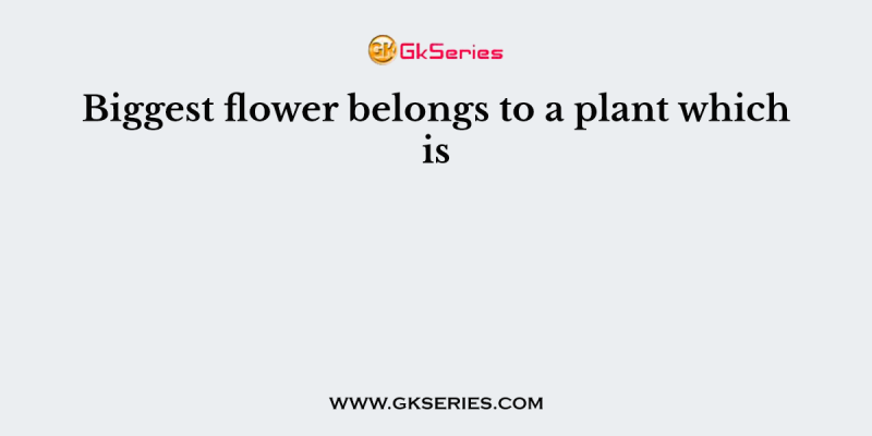 Biggest flower belongs to a plant which is
