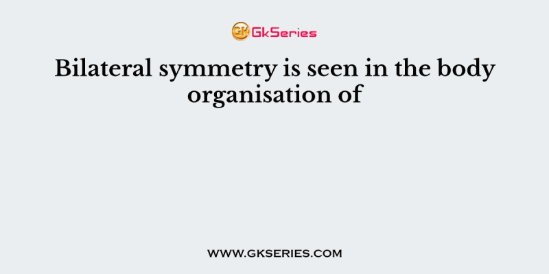 Bilateral symmetry is seen in the body organisation of