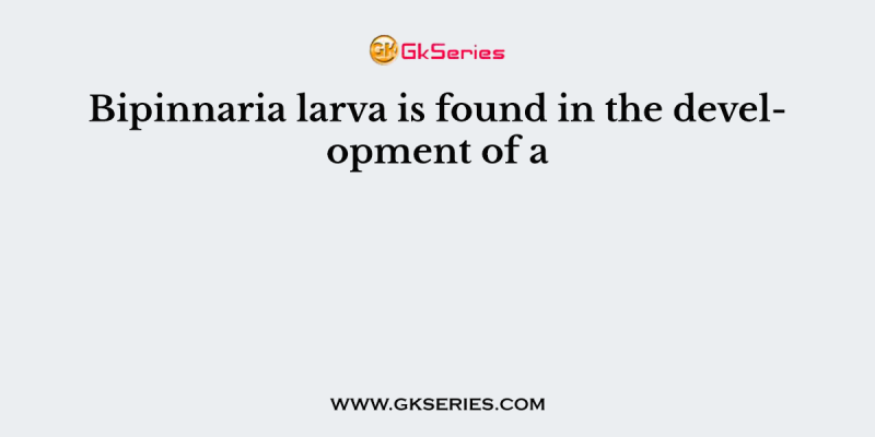 Bipinnaria larva is found in the development of a