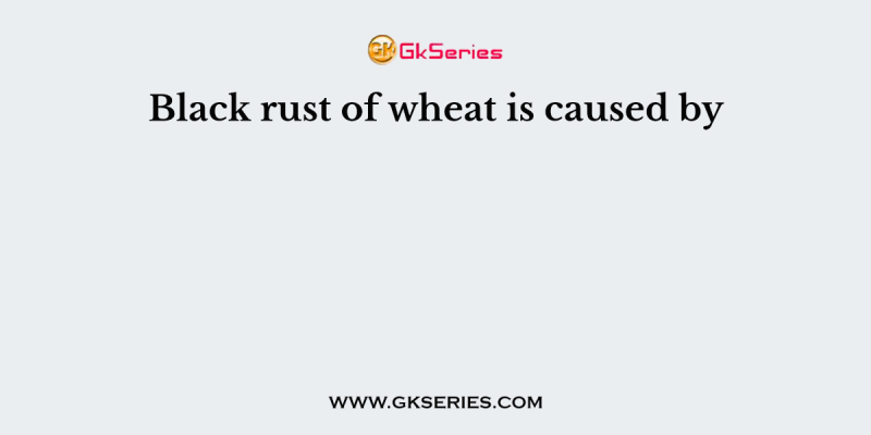 Black rust of wheat is caused by
