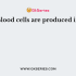 Dissolved proteins, glucose, hormones are contained in _____ of the blood
