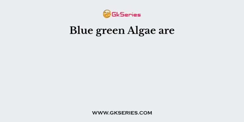 Blue green Algae are