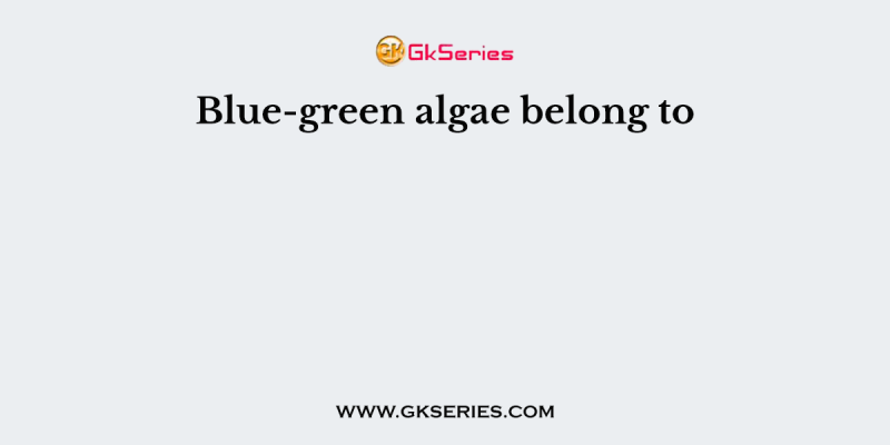 Blue-green algae belong to