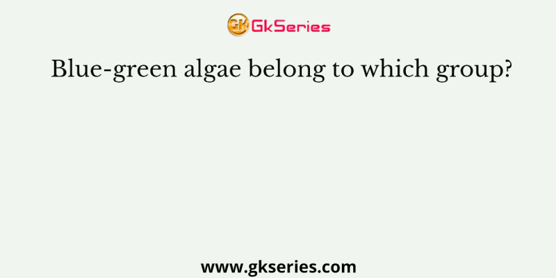 Blue-green algae belong to which group?