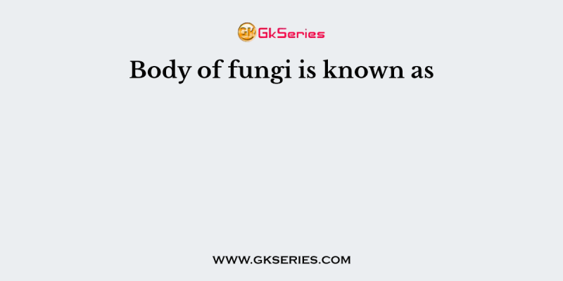 Body of fungi is known as