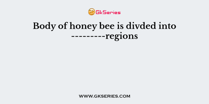 Body of honey bee is divded into ———regions