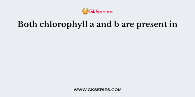 Both chlorophyll a and b are present in
