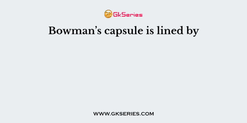 Bowman’s capsule is lined by