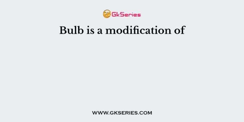 Bulb is a modification of