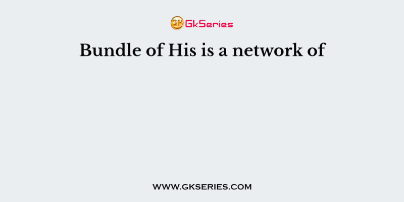 Bundle of His is a network of