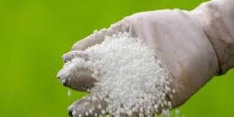 CCEA approves grant of ₹100 crore to Brahmaputra Valley Fertilizer Corporation