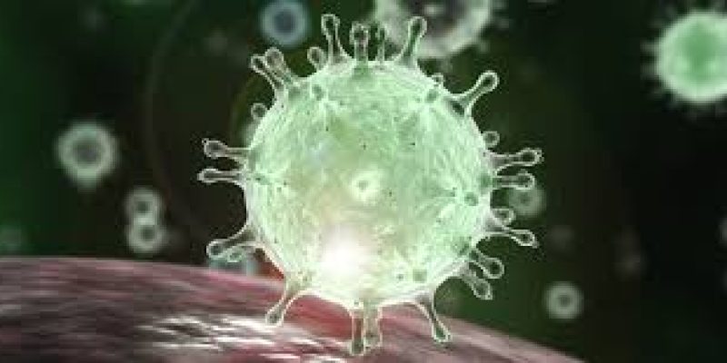 CCMB, IGIB develops digital surveillance to monitor and control COVID-19 spread