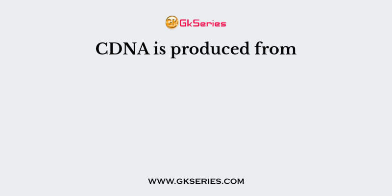 CDNA is produced from