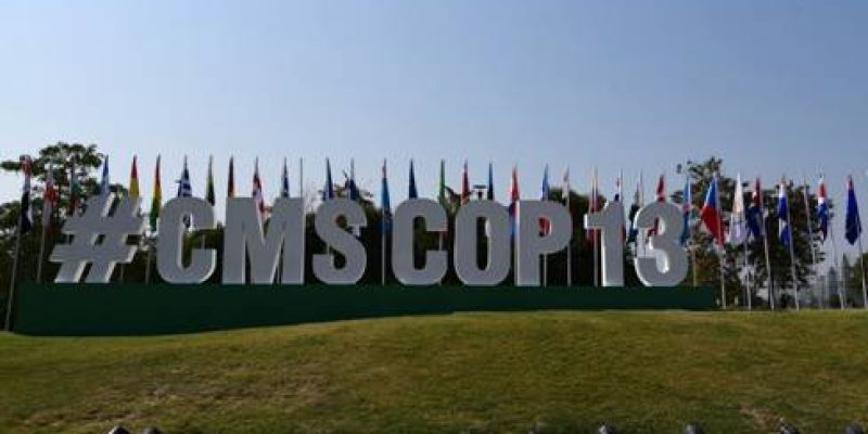 13th COP of Convention on the Conservation of Migratory Species of Wild Animals