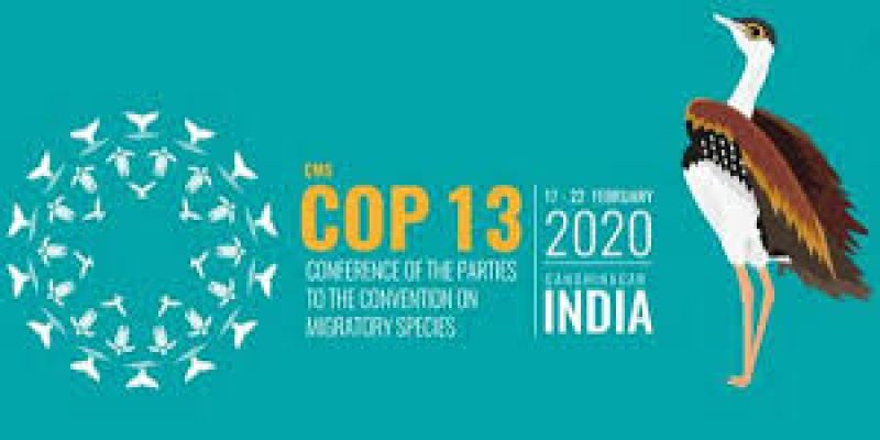 Convention on the Conservation of Migratory Species of Wild Animals
