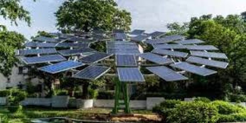 CSIR-CMERI developed the World’s Largest Solar Tree