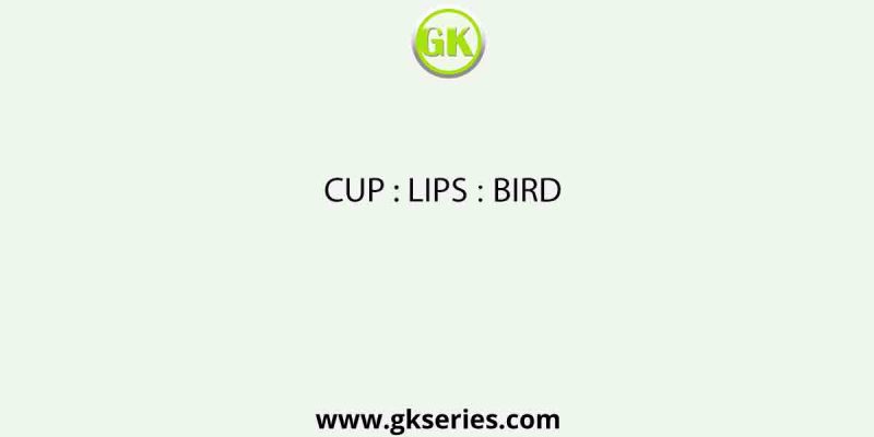 CUP : LIPS ∷ BIRD