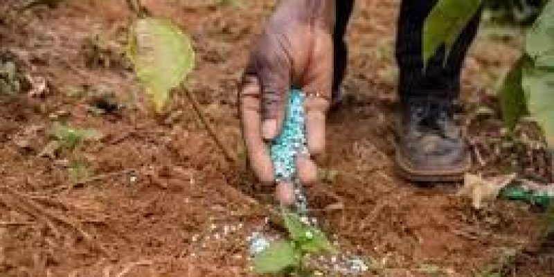 Cabinet Approves Namrup-IV Fertilizer Plant in Assam