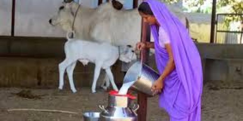 Cabinet Approves Revised Rashtriya Gokul Mission with ₹3,400 Crore Allocation