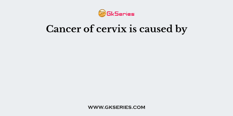 Cancer of cervix is caused by