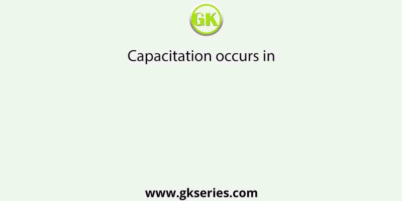 Capacitation occurs in