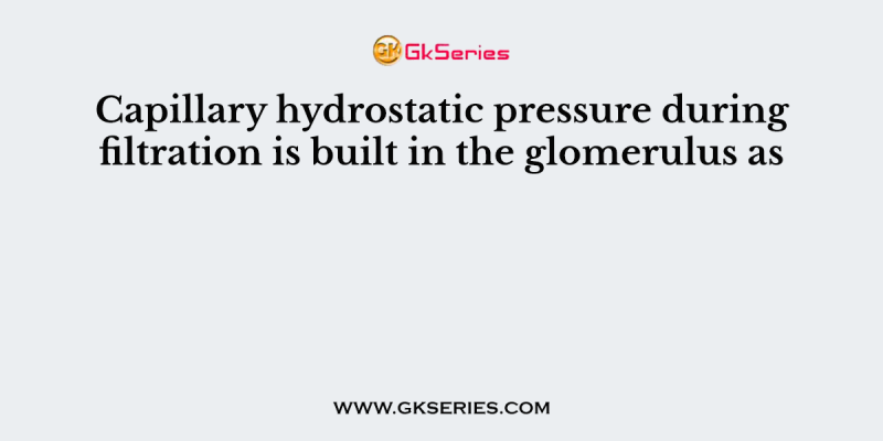 Capillary hydrostatic pressure during filtration is built in the glomerulus as