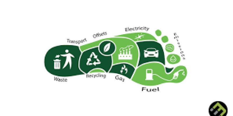Carbon Footprint