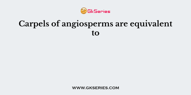 Carpels of angiosperms are equivalent to