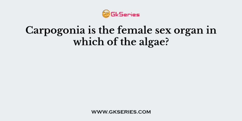 Carpogonia is the female sex organ in which of the algae?