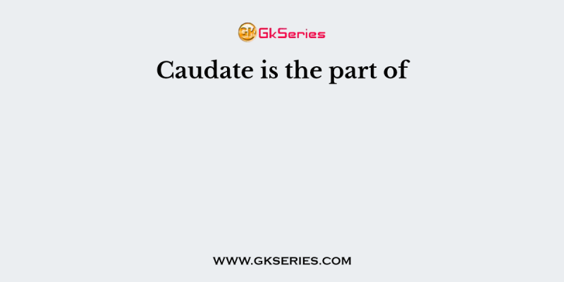 Caudate is the part of