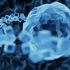 CCMB to develop Inactivated virus vaccine for novel coronavirus