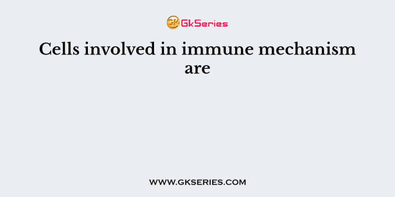 Cells involved in immune mechanism are