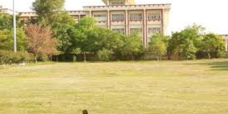 Central University of Punjab, Bathinda