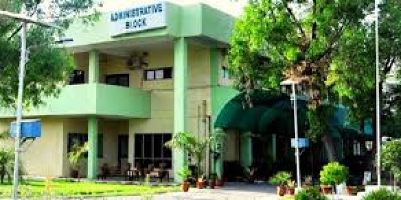 Central University of Punjab Recruitment 2020 for Apprentice Vacancy