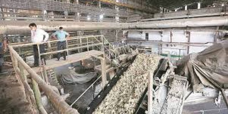 Central government issues MSP guidelines for sugar mills