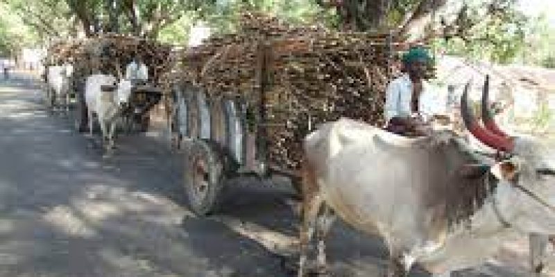 Centre Extends Ethanol subsidy scheme till March 2023